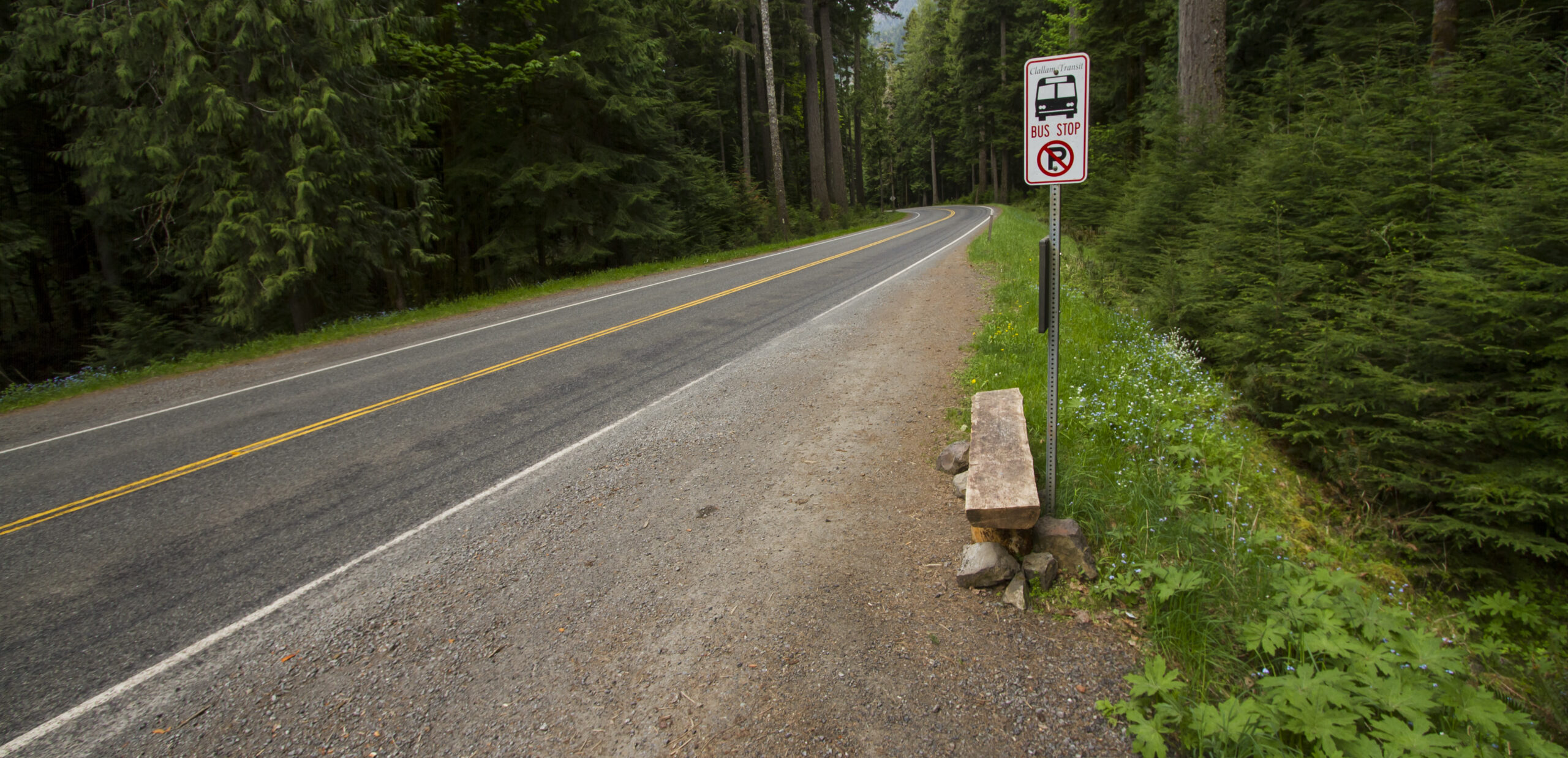 Rural bus stop on empty two lane road