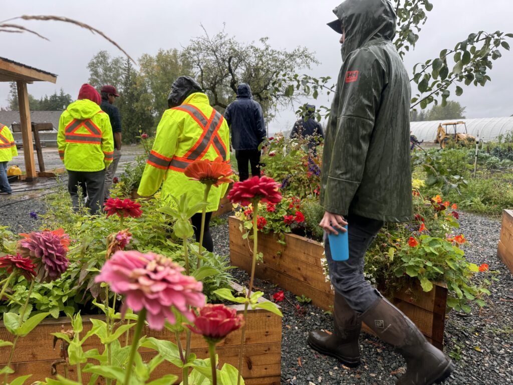 Flower boxes on a rainy day with people in work gear on the Kitselas Cultural and Wellness Trail